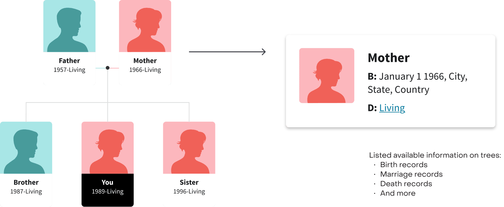Card-Detail